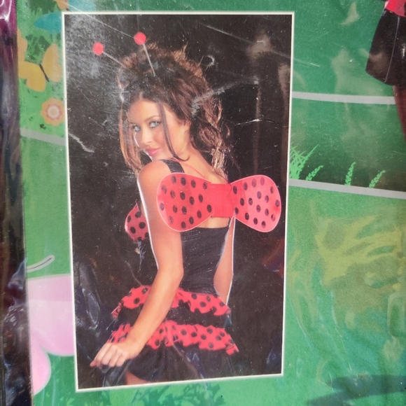 A ladybug Ladies costume - Picture 11 of 12